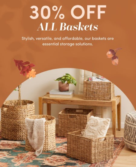 30% Off All Baskets