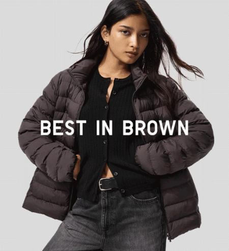 Best in Brown
