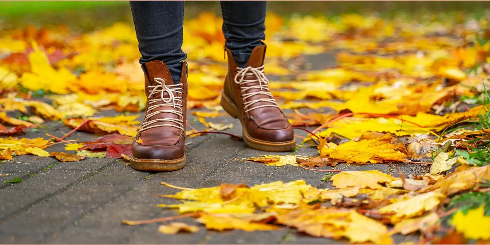 Fall is coming to UMall undefined
