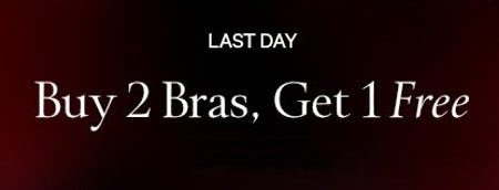 Buy 2 Bras, Get 1 Free