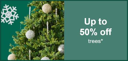 Up to 50% Off Trees