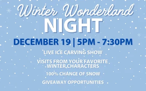 Winter Wonderland Night thumbnail