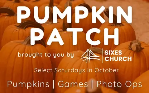 Pop-Up Pumpkin Patch thumbnail
