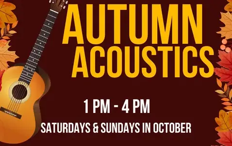 Autumn Acoustics | Live Music Series thumbnail