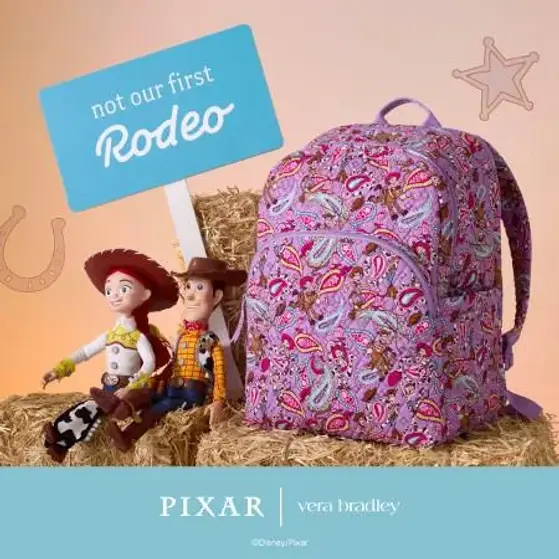 Outlet Shoppes at Atlanta ::: Toy Story Rodeo Paisley Collection