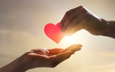 Heart of the Mall: Community Food Drive thumbnail