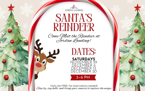 Santa's Reindeer thumbnail