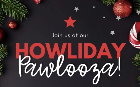 Adams County SPCA Holiday Pawlooza!  thumbnail