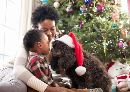 Pet Photos with Santa