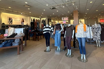 Levis commons shoe clearance stores