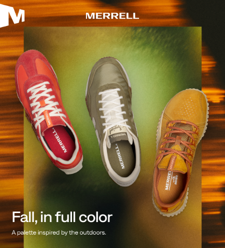 New Arrivals for Fall