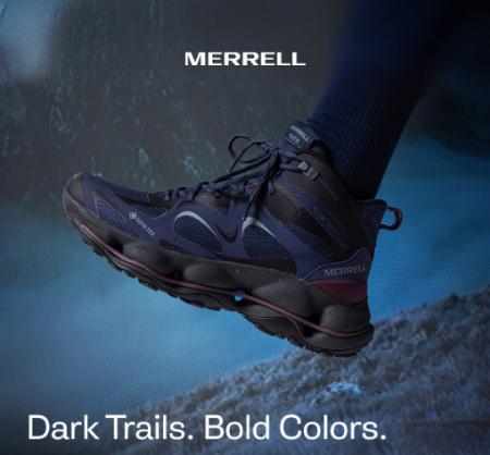 Hauntingly Bold Colors